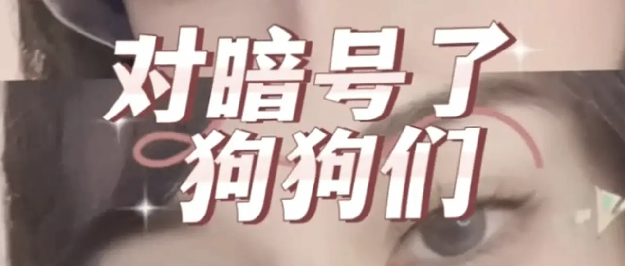【西檬之家】BDSM字母圈DOM是什么意思？