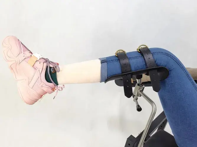 s属性：实用指南