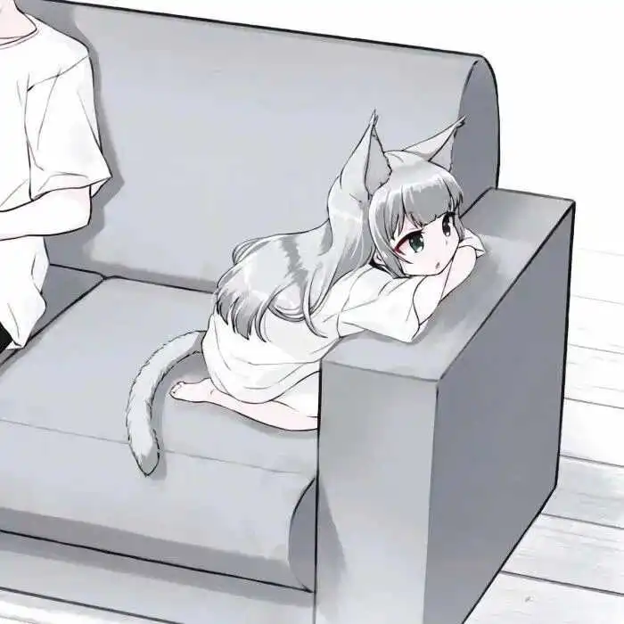 西檬之家-字母圈K8猫系角色是什么，新手必看指南