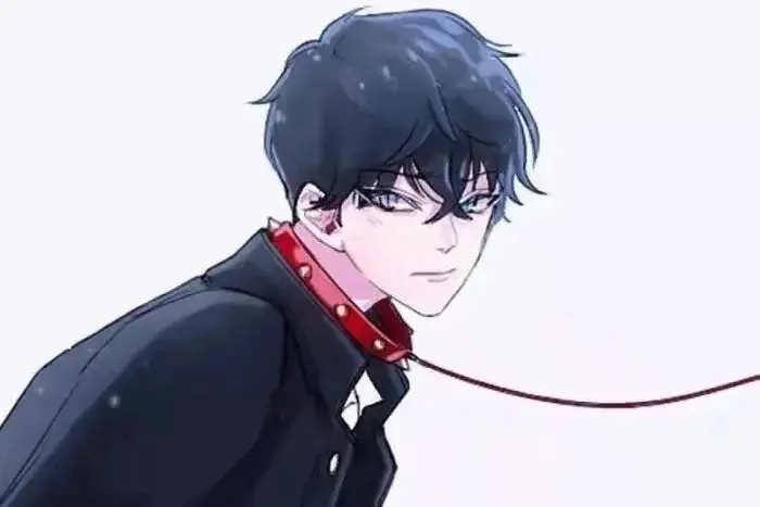 西檬之家-字母圈SP实践指南：从新手到进阶完全手册