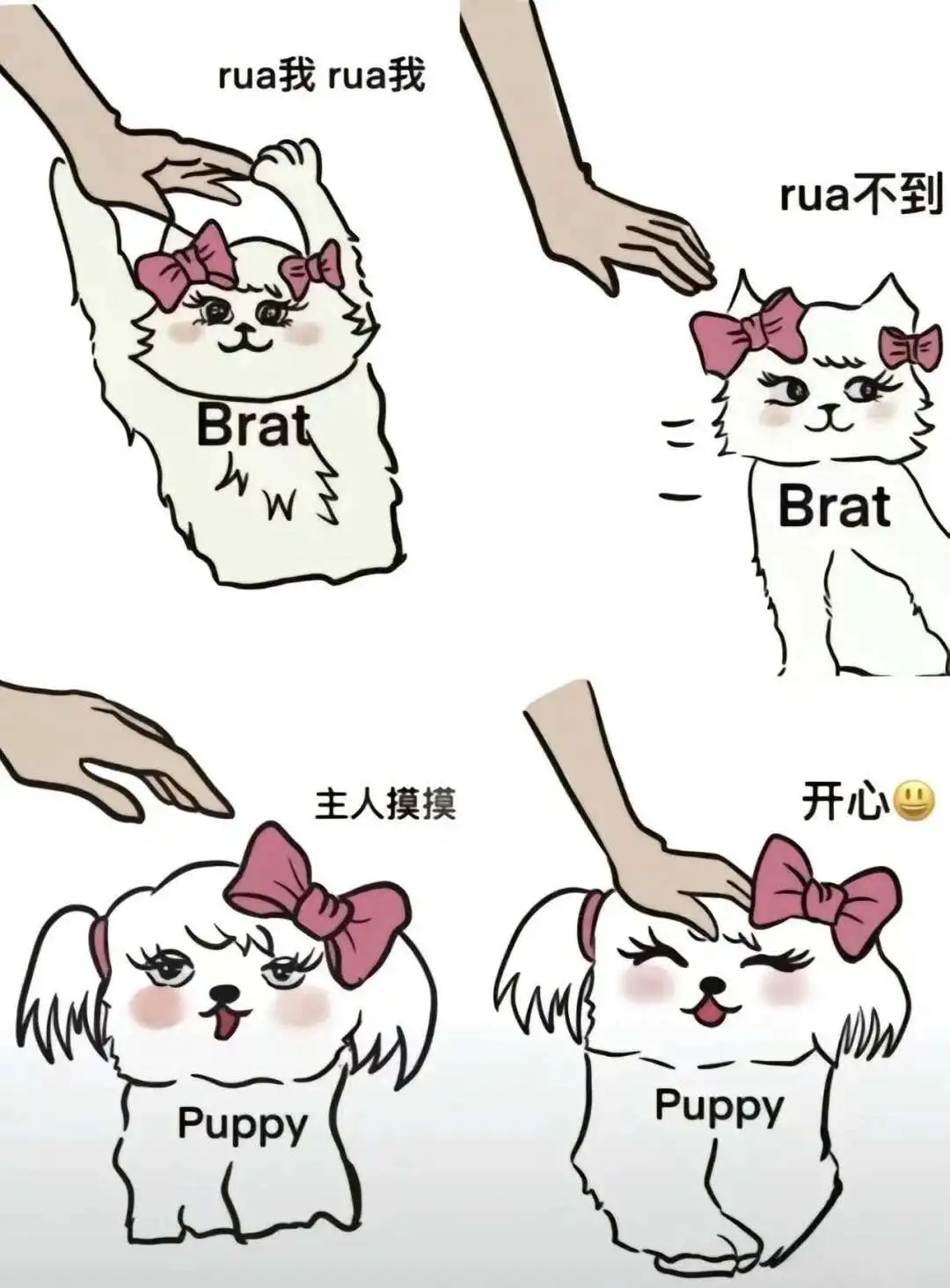 BDSM：实用指南
