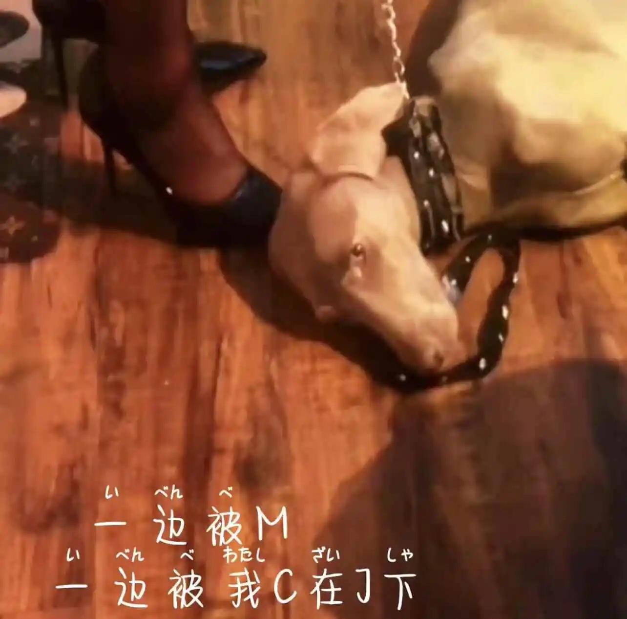 西檬之家-BDSM是什么？你的字母圈属性是什么？