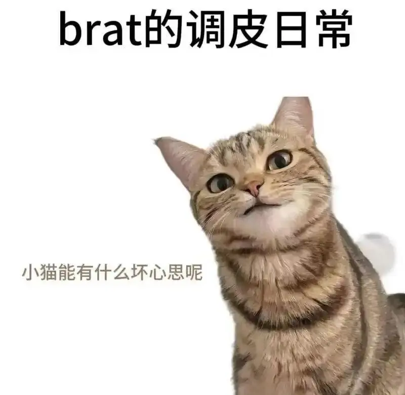 【西檬之家-字母圈新人入圈|Dirty Talk是什么？新人指南 】