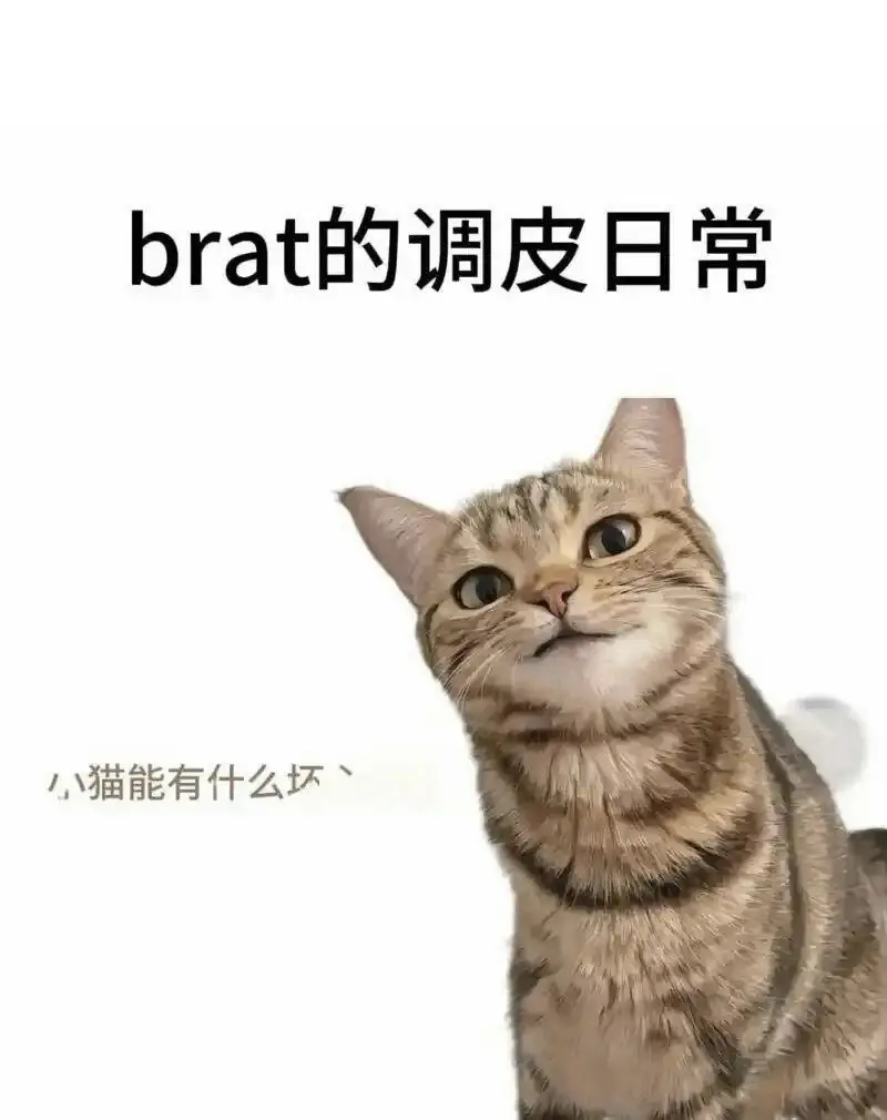 西檬之家-字母圈TK是什么？BDSM新人入圈指南